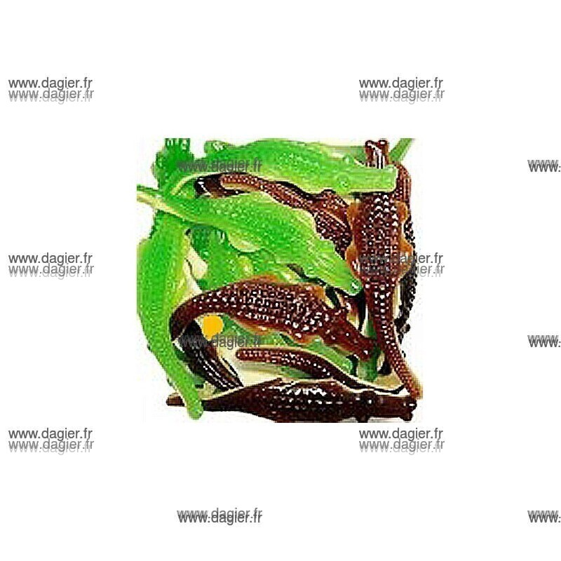 Alligator Bitexture Geant x 1kg